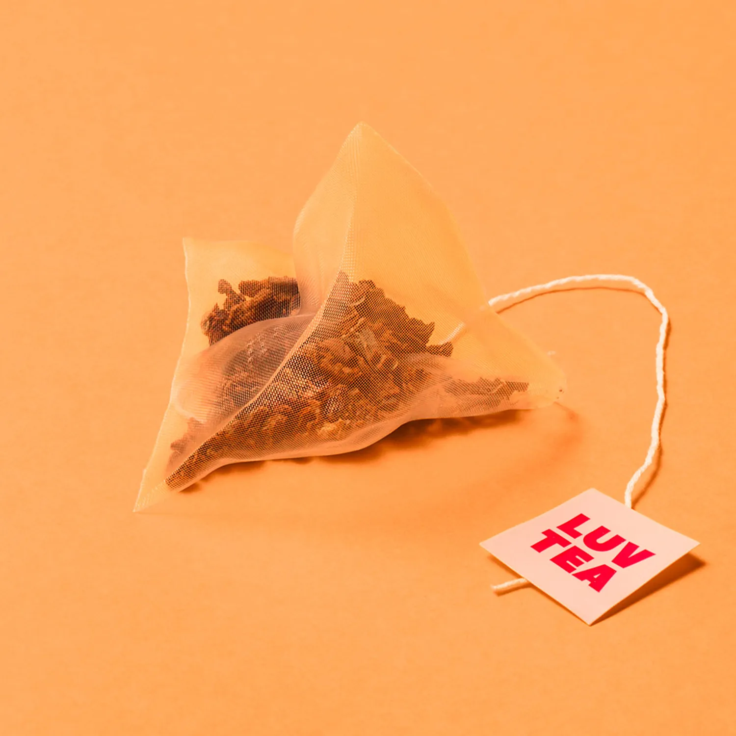243-nothing-better-luv-tea-pumpkin-15-bags-1.webp